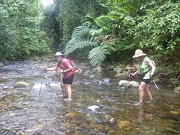 Tropical Tryhards Training Tropical Tryhards Training